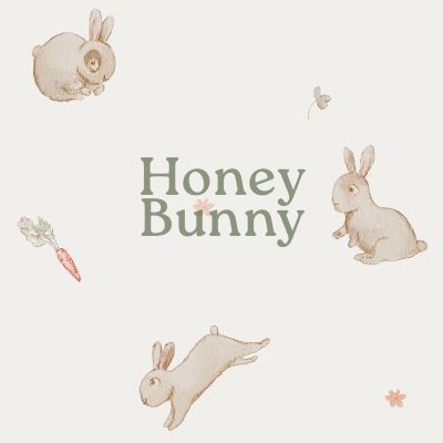 Спальный мешок для коляски 0-12 мес. Everest Baby Honey Bunny